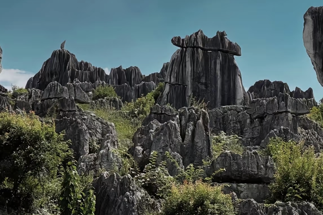 Stone Forest Scenic Area